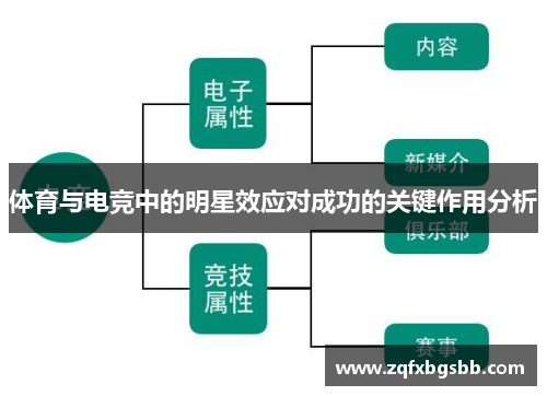 体育与电竞中的明星效应对成功的关键作用分析